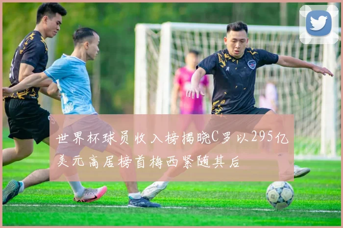 世界杯球员收入榜揭晓C罗以295亿美元高居榜首梅西紧随其后